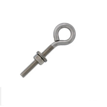 Stainless Steel Eye Bolt